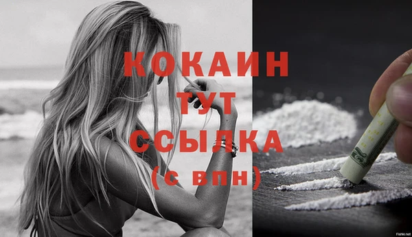 трава Болотное