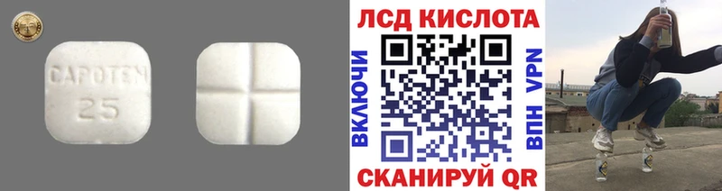 наркотики  Вытегра  Лсд 25 экстази кислота 